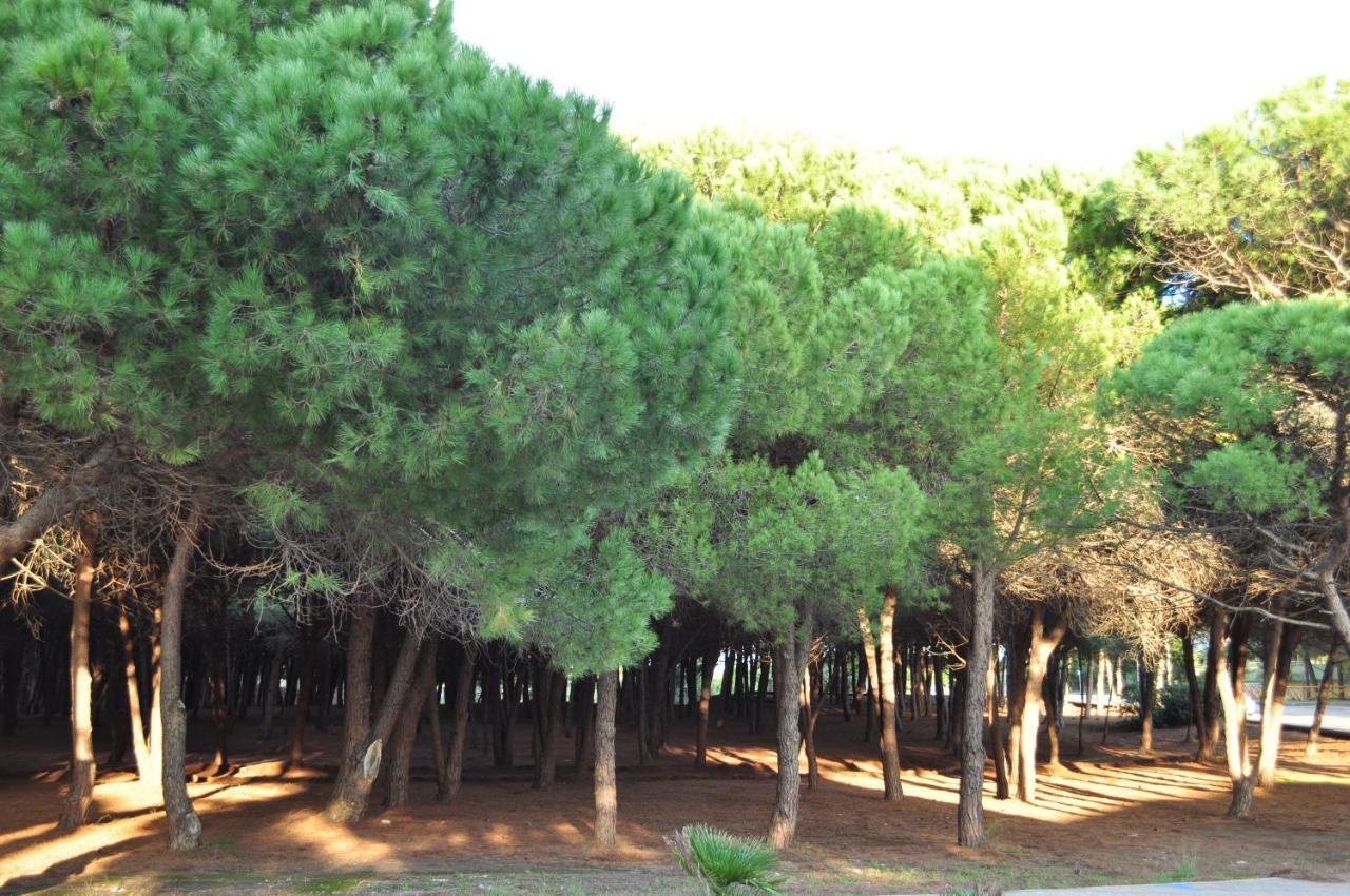 Sa Calla Manna بورتوسكوسو المظهر الخارجي الصورة